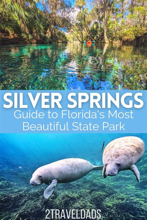 Guide to Silver Springs State Park Florida - 2TravelDads