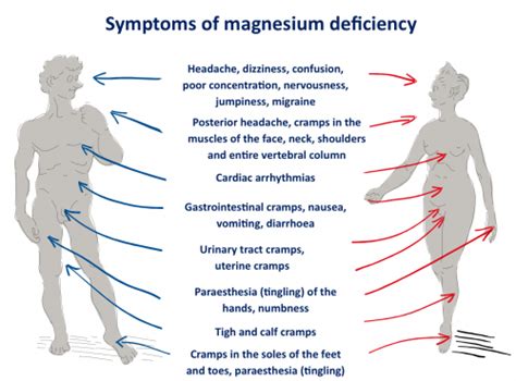 Magnesium Deficiency Symptoms - The Magnesium Guide