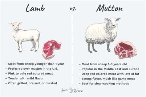 Learn the Difference Between Lamb and Mutton