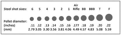 Shot Size Chart for Hunting Waterfowl and Game | Sportsman's Warehouse