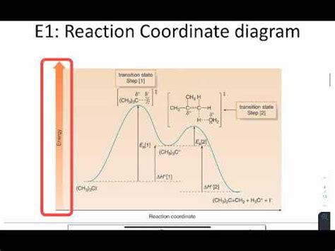 E1 Mechanism and energy diagram - YouTube