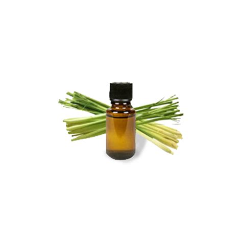 Lemongrass Oil | Essential Oil - SAVVYPALS