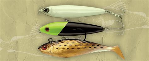 The 7 Best Snook Lures In 2023 [Top Picks] | FindyourFish