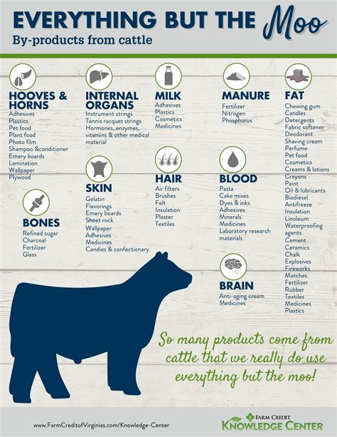 Everything But the Moo By-Products From Cattle | Farm Credit of the Virginias