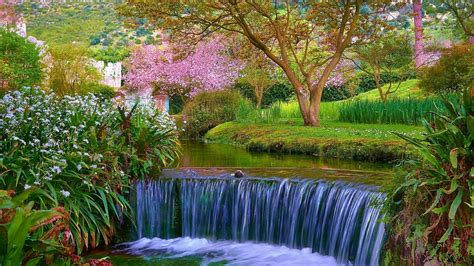 Flower Waterfall Trees Wallpapers on WallpaperDog