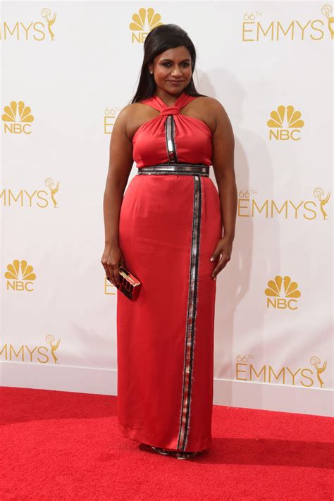 Mindy Kaling's Dress at Emmys 2014 | POPSUGAR Fashion