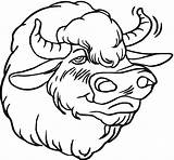 Bison Coloring Pages  Kidsuki sketch template