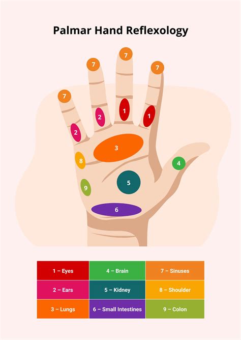 Hand Reflexology Chart in Illustrator, PDF - Download | Template.net