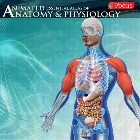 Anatomy and Physiology-Animated para PC / Mac / Windows 11,10,8,7 - Descarga gratis - Napkforpc.com