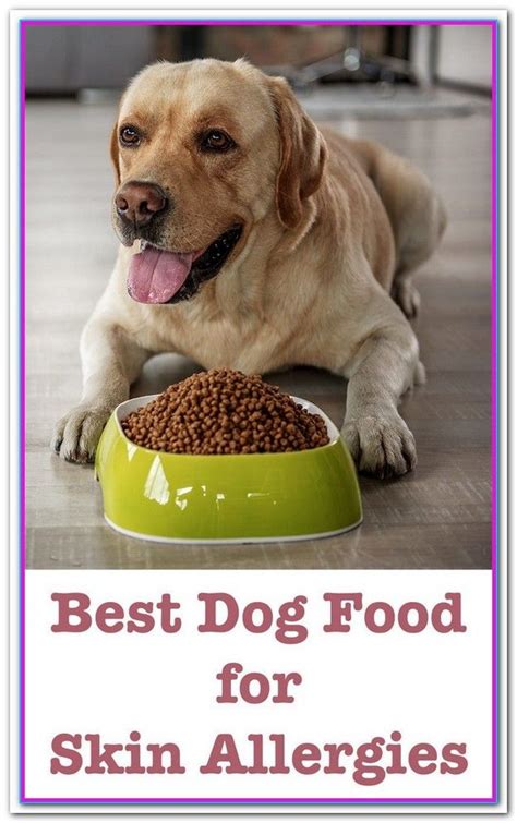 Best Dry Dog Food For Dogs With Skin Allergies Uk - Best Dog Foods for Allergies. November 2018 ...