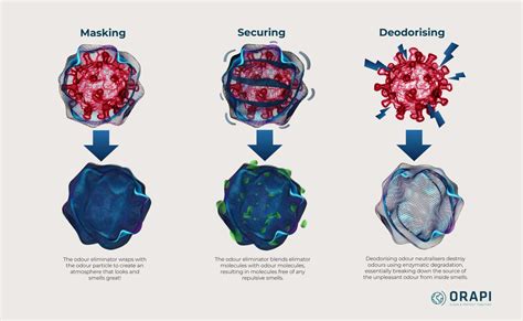 Odor Neutralizer: The Science Behind Odor Care | ORAPI Asia