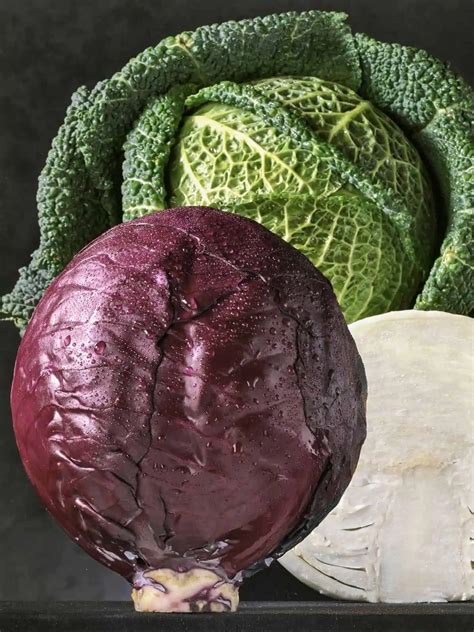 Discover 10 Cabbage Varieties & Their Exciting Uses! - Salads with Anastasia