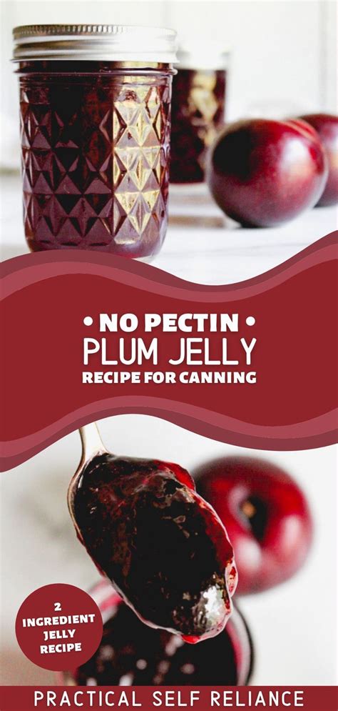 Plum Jelly | Recipe | Plum jelly recipes, Wild plum jelly recipe, Jelly recipes