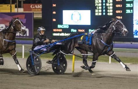 Sky Racing World brings Australian harness races to U.S. platforms