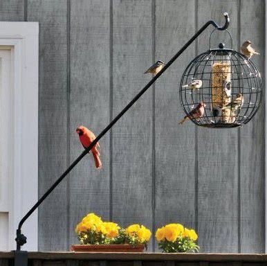 Best Squirrel Proof Bird Feeder Pole System & Baffle