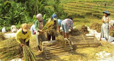 10+ Contoh Kegiatan Produksi dan Penjelasannya - LokerPintar.id