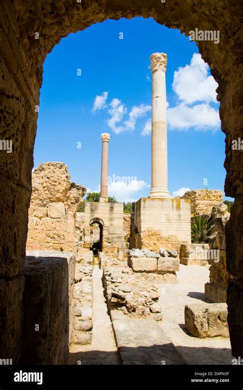 Ruins of Carthage, Tunis, Tunisia Stock Photo - Alamy