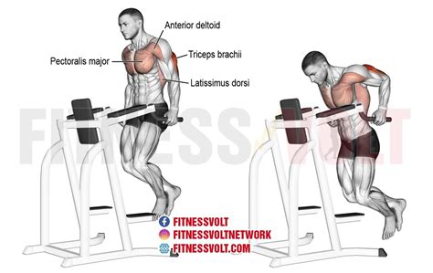 Master Tricep Dips: Build Stronger Triceps & Shoulders Fast! – Fitness Volt