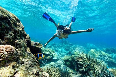 Snorkel the Rainbow Reef at The Remote Resort Fiji Islands | Fiji resort, Fiji islands, Snorkeling