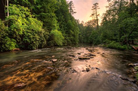 The 2024 Visitor Guide to Ellijay, Georgia: Eat, Stay & Play