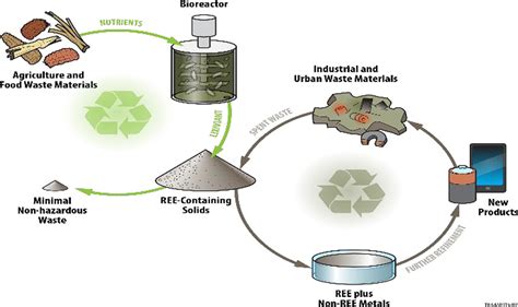 Sustainable Bioleaching of Rare Earth Elements from Industrial Waste Materials Using ...