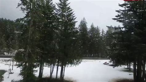 Aerial view of Snow day Marcola, oregon - YouTube