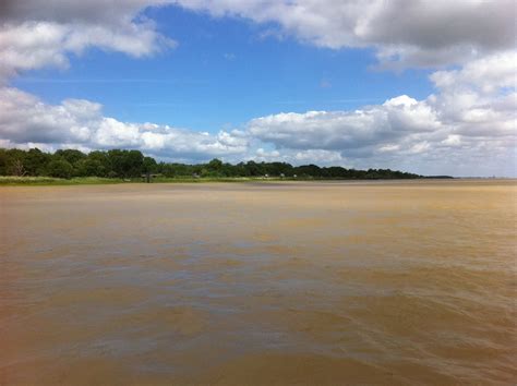 More than just wine: The Gironde estuary, near Bordeaux