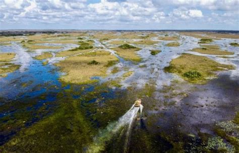 Climate change threatens the Everglades, Florida's gem - Raw Story - Celebrating 18 Years of ...