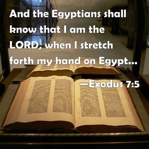 Exodus 7:5 And the Egyptians shall know that I am the LORD, when I ...