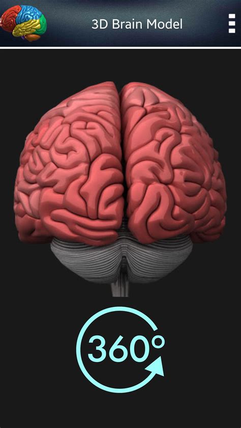 Cerebro humano 3D for Android - APK Download