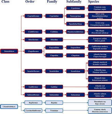 Frontiers | Fish Allergy Around the World—Precise Diagnosis to Facilitate Patient Management