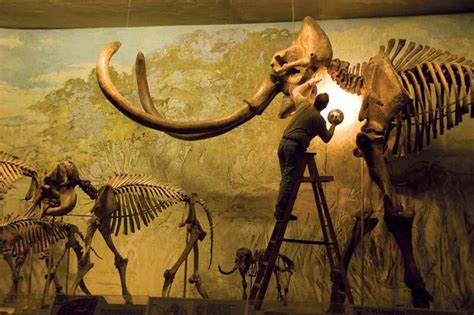 How to Clone a Mammoth: But should we? | New Scientist