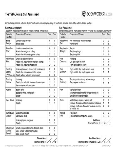 Tinetti Calculator 2009-2024 Form - Fill Out and Sign Printable PDF ...