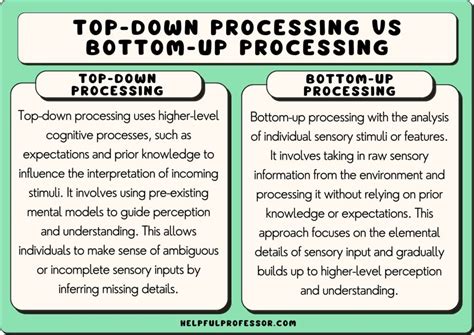 25 Top-Down Processing Examples (2024)