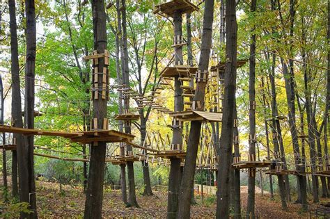 Best Adventure Park In Michigan: TreeRunner Adventure Park