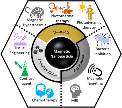 Magnetic Nanoparticles for Biomedical Applications: From the Soul of the Earth to the Deep ...