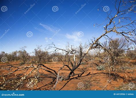 Rural Australia stock photo. Image of remote, 070617w0003 - 4413956