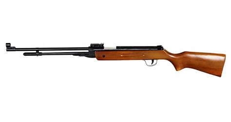 Top 10+ Best Pellet Guns For Killing Squirrels » [ Best Air Rifle ...