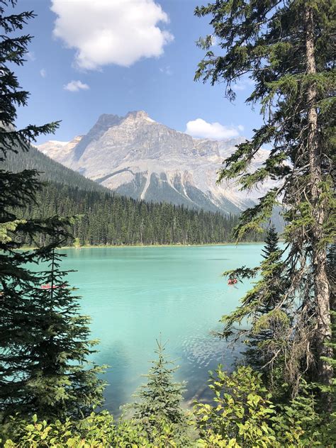 Emerald Lake, Alberta Canada : r/Outdoors