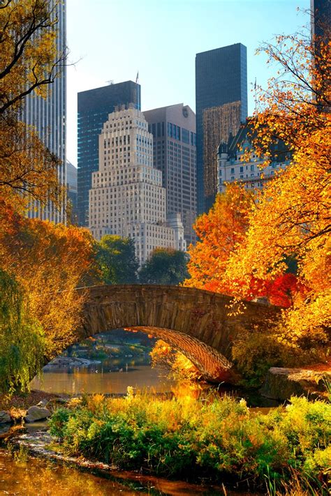 Fall in NYC in 2023 | Fall in nyc, New york wallpaper, Autumn in new york