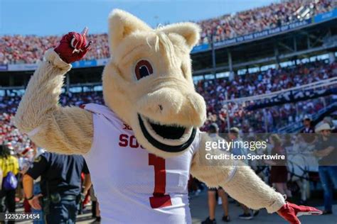 425 Oklahoma Sooner Mascot Stock Photos, High-Res Pictures, and Images ...