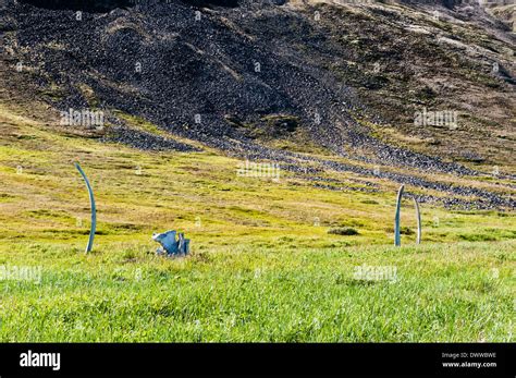 Whale Bone Alley, Ittygran Island, Chukotka, Russia Stock Photo - Alamy