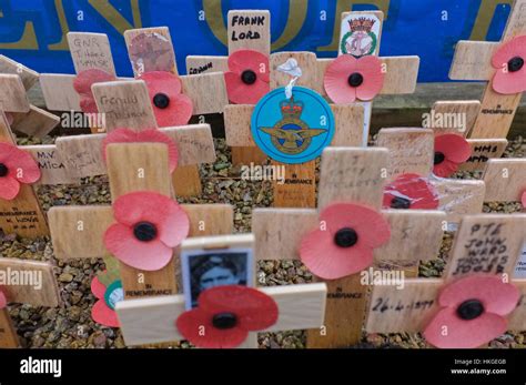 Remembrance day poppies Stock Photo - Alamy