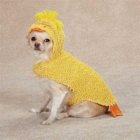 This rubber duck. | Dog halloween costumes, Dog halloween, Pet ...