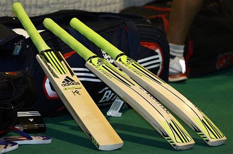 Cricket bat made of bamboo, not willow, makes ball fly faster - study ...