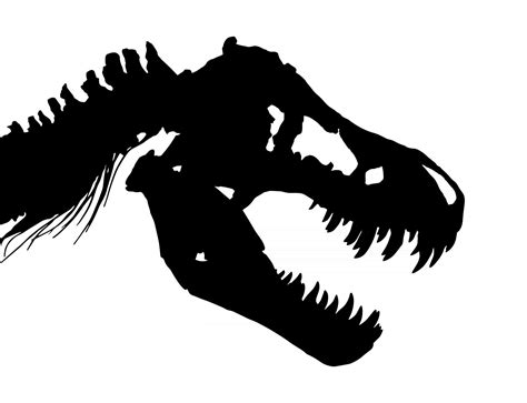 T Rex Skeleton Side View