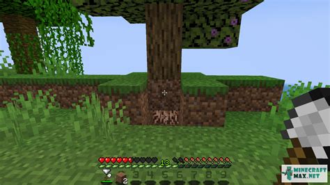 Find roots under the azalea tree | Quests for Minecraft