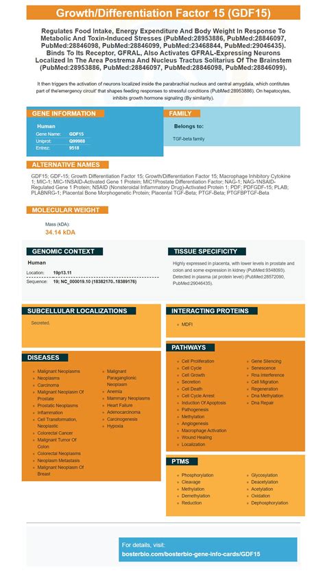 GDF15 Antibodies & ELISA Kits, GDF-15 Proteins