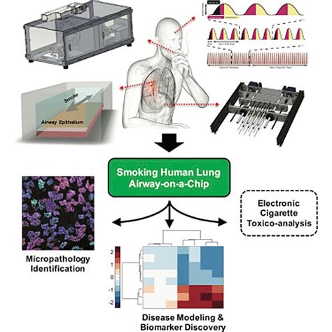 Scientists Insert 'Lung-On-A-Chip' On Chain-Smoking Machine To Study Lung Disease - The New Stack