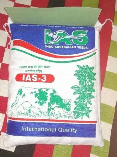 Lucerne Rajka Grass Seeds at Rs 260/kilogram | New Items in Ahmedabad | ID: 21213834991